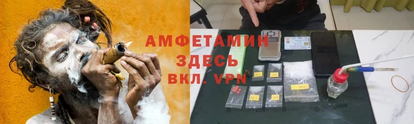 сатива Алзамай