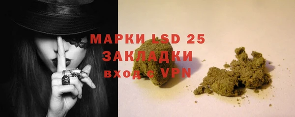 сатива Алзамай