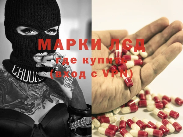 индика Михайловск