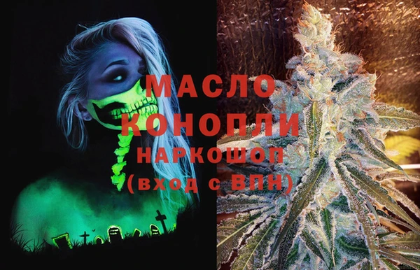 мет Алексин