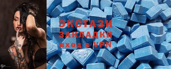 индика Михайловск